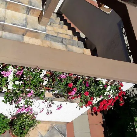 Lucija Hotel