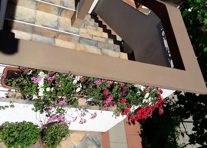 Lucija Hotel