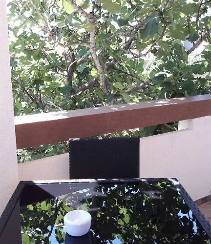 Lucija Hotel Vir